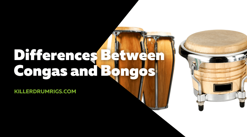 Differences Between Congas and Bongos