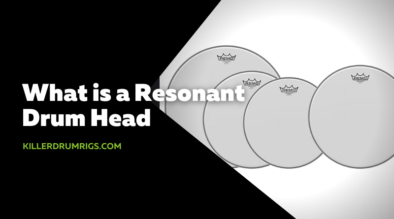 What is a Resonant Drum Head